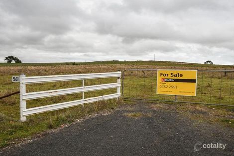 561 Wirrimah Rd, Wirrimah, NSW 2803