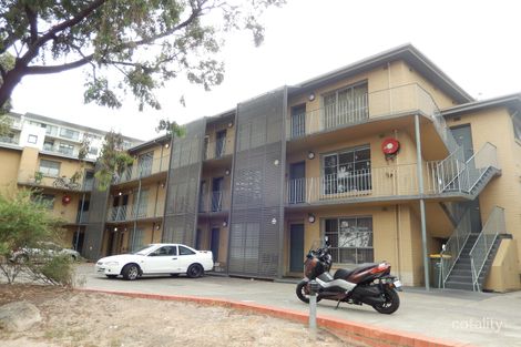 20/14 Alma Rd, St Kilda, VIC 3182