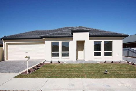 19 Raymond Ave, Seaton, SA 5023