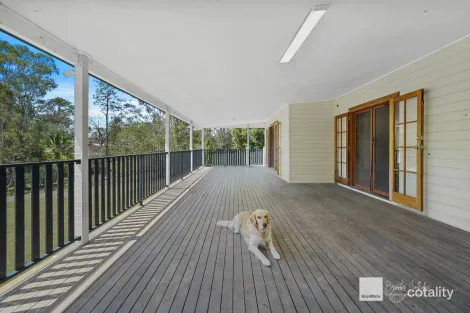 Property photo of 37-39 Cedar Vale Road Cedar Vale QLD 4285