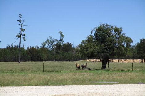 106 Spinifex Rd, Tara, QLD 4421