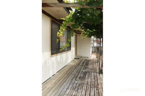 Property photo of 24 Williams Avenue Keith SA 5267