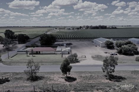 65 Trenerry Ave, Loxton, SA 5333