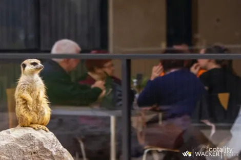 Property photo of 1 Belthorpe Drive Kyabram VIC 3620