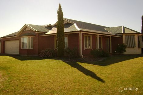 6 Price St, Cleve, SA 5640