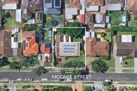 Property photo of 8 McCabe Street Greystanes NSW 2145