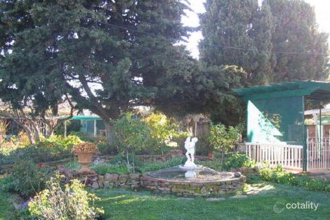 Property photo of 51 Frances Terrace Kadina SA 5554