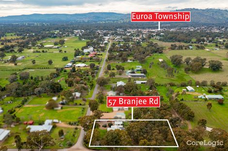 Property photo of 57 Branjee Road Euroa VIC 3666