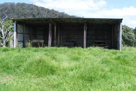 Property photo of 12680 Princes Highway Brogo NSW 2550
