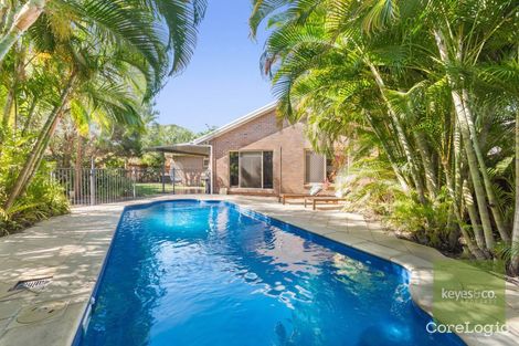 Property photo of 10 Cashmere Court Annandale QLD 4814