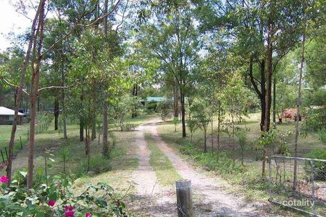 Property photo of 38 Flametree Court Cedar Grove QLD 4285
