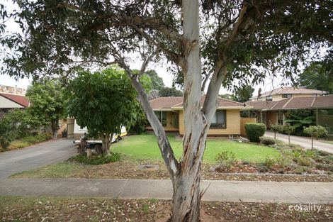 7 Tweed Ave, Marion, SA 5043