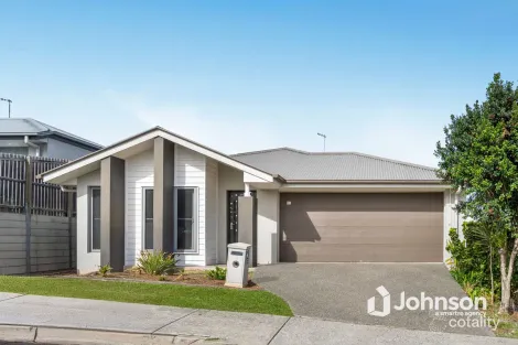 46 Falcon St, Redbank Plains, QLD 4301