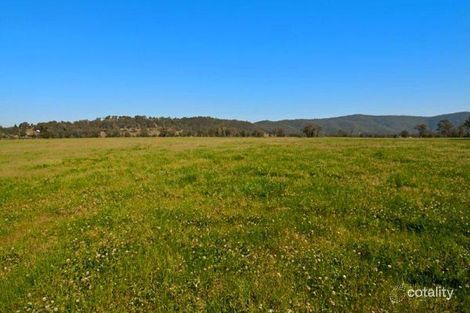 54 Lomandra Cct, Paterson, NSW 2421