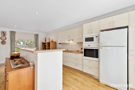 Property photo of 23 Tulich Avenue Dee Why NSW 2099
