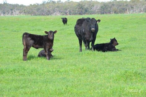 368 Elgin Lane, Clay Wells, SA 5280