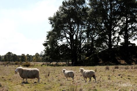 12 Spittle Rd, Creswick, VIC 3363