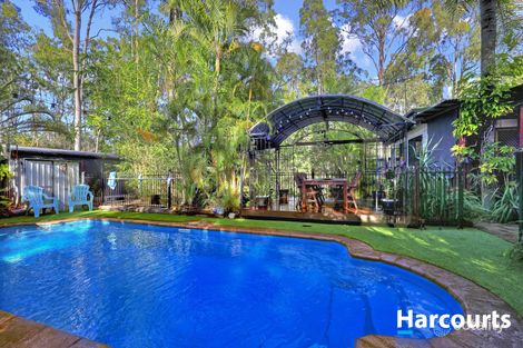 Property photo of 169 Gentle Annie Road Apple Tree Creek QLD 4660