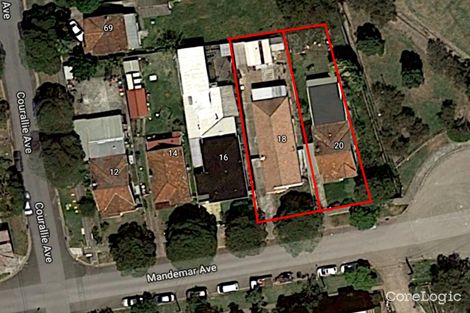 Property photo of 20 Mandemar Avenue Homebush West NSW 2140