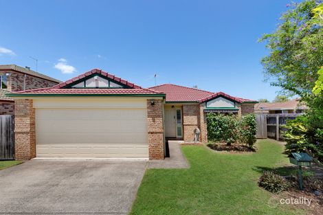 Property photo of 34 Stendell Street Wakerley QLD 4154
