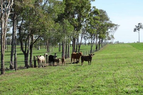 Property photo of 353 Dicksons Road Yandaran QLD 4673