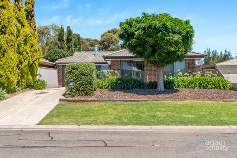 13 Trinity Rd, Morphett Vale, SA 5162