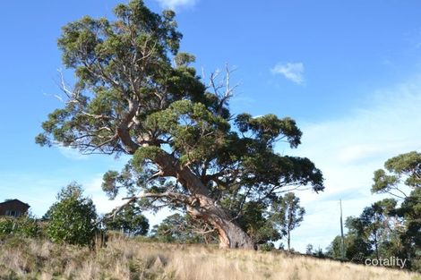 Property photo of 958 Killora Road North Bruny TAS 7150