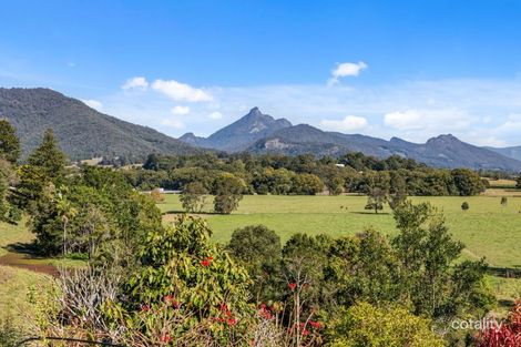 Property photo of 11 Mistral Road South Murwillumbah NSW 2484