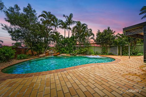 Property photo of 24 Fairymead Street Underwood QLD 4119