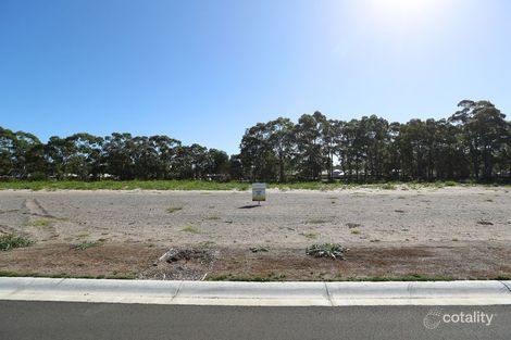 Property photo of 55 Portmarnock Close Medowie NSW 2318