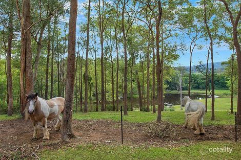 Property photo of 41 Mount Brisbane Road Mount Pleasant QLD 4521