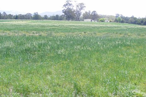 195 Gloucester Rd, Burrell Creek, NSW 2429