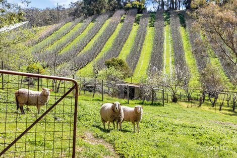 Property photo of 29 Edwards Hill Road Lenswood SA 5240