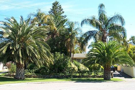 Property photo of 11 Read Place Dianella WA 6059