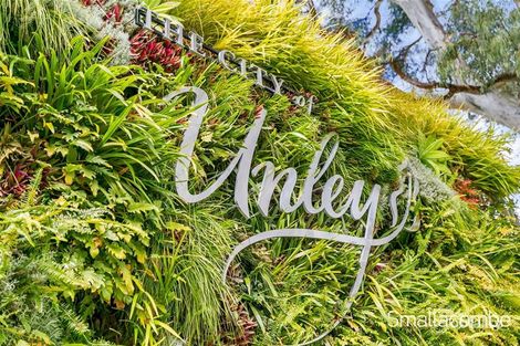 Property photo of 3/34 Northgate Street Unley Park SA 5061