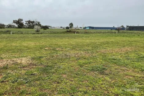 Property photo of 53 Grasso Drive Cobram VIC 3644