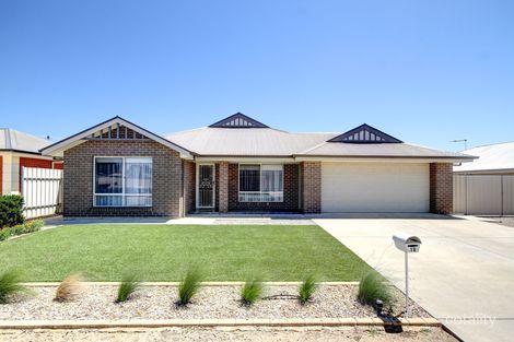 Property photo of 16 Nilfred Court Murray Bridge SA 5253