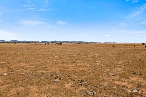 Property photo of 1547 Oxley Highway Wallamore NSW 2340