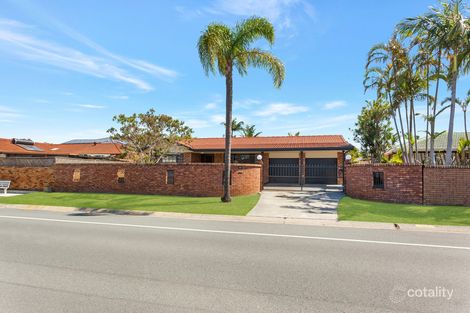 Property photo of 33 Dunlin Drive Burleigh Waters QLD 4220
