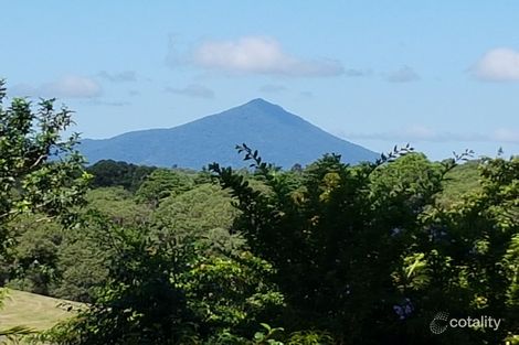 Property photo of 153 Highland Drive Julatten QLD 4871