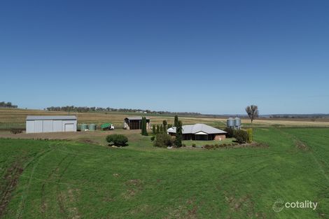 491 Forest Springs Rd, Spring Creek, QLD 4361