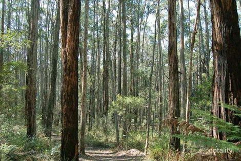 Property photo of 145 David Hill Road Monbulk VIC 3793