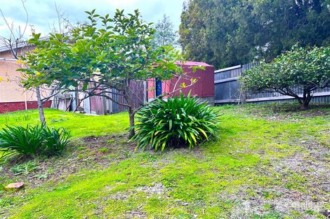 Property photo of 13 Wigram Street Scamander TAS 7215