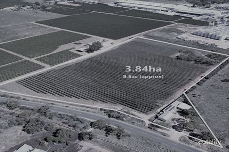 Property photo of 24 Dalziel Road Glossop SA 5344