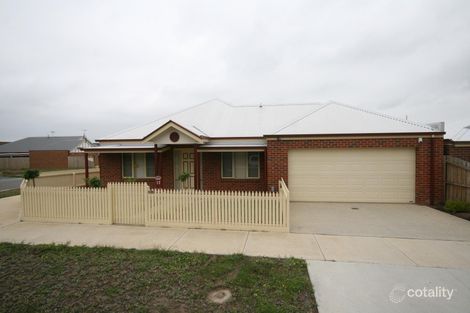 Property photo of 12 Redgum Court Belmont VIC 3216