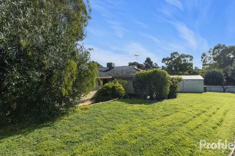 14 Lisa Ct, Paradise, SA 5075