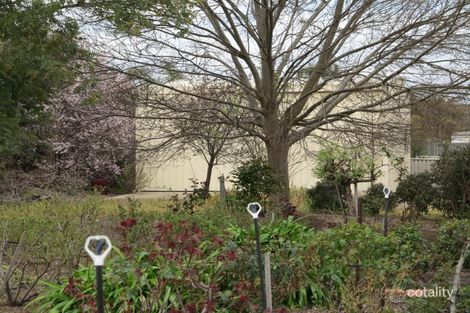 Property photo of 15 Moore Street Narrogin WA 6312