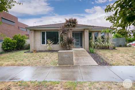 Property photo of 16 Creekstone Drive Alfredton VIC 3350