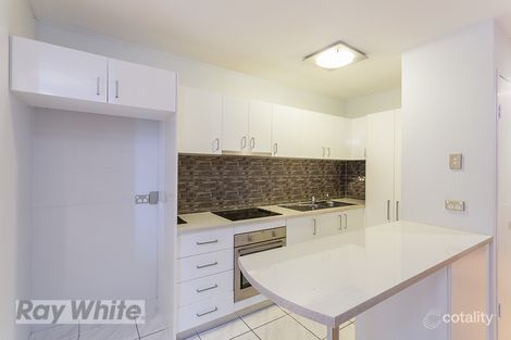 2/387 Cavendish Rd, Coorparoo, QLD 4151