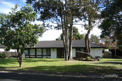 5 Willow Tree Cres, Belrose, NSW 2085